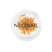 Dried Flowers 03 Orange - Neonail