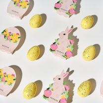 Easter Bunny set- Neonail